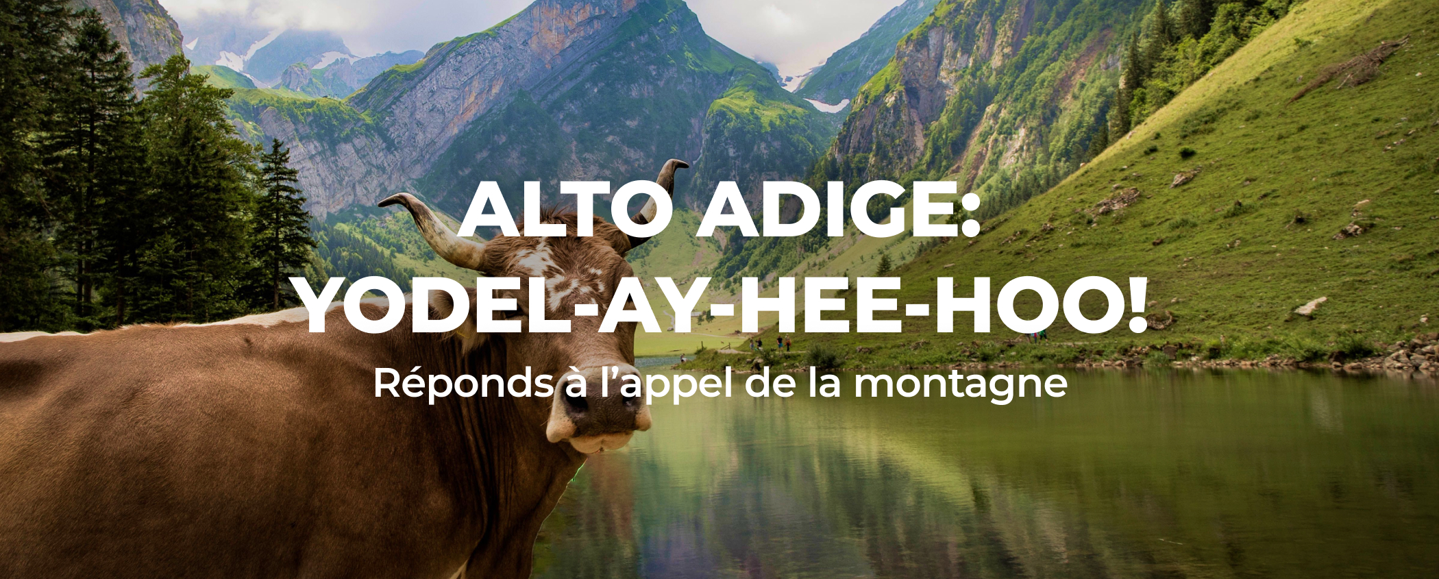 ALTO ADIGE: YODEL-AY-HEE-HOO!
