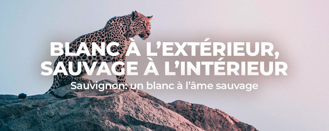 LIBÉREZ VOTRE REGARD SAUVAGE